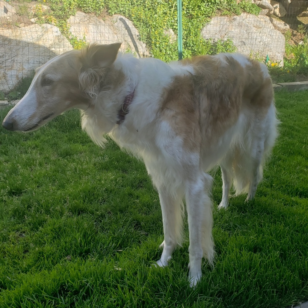 Meet your Posher, Cj